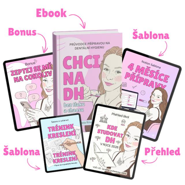CHCI NA DH — e-book, Notion šablona a bonusové materiály